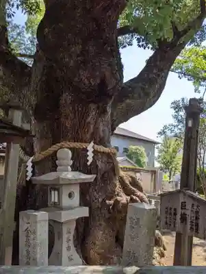 杭全神社のその他建物