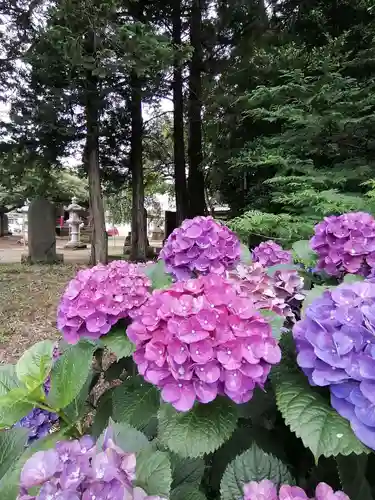 伏木香取神社の自然