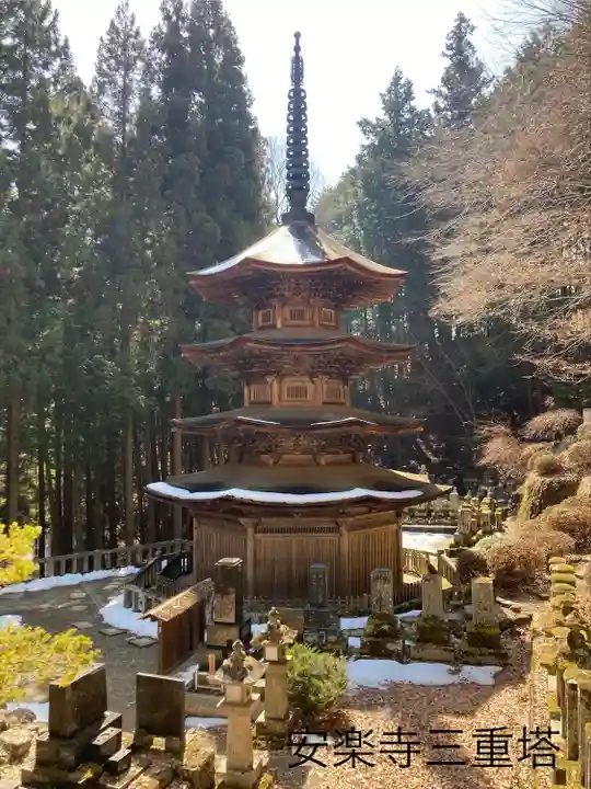 安楽寺のその他建物