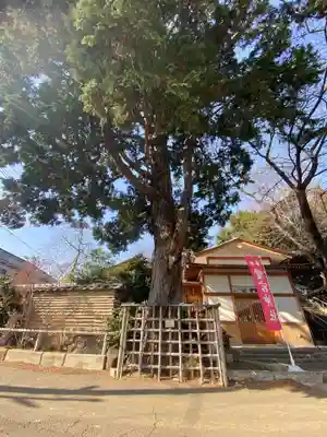 岩槻愛宕神社(埼玉県)
