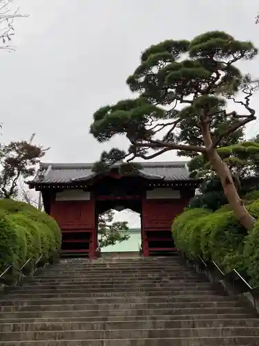 護国寺の山門