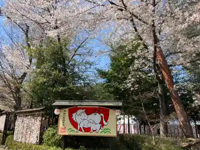 櫻木神社(千葉県)