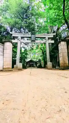 七百餘所神社 の鳥居