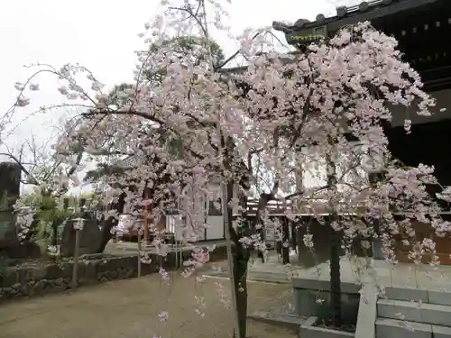 定林寺の庭園