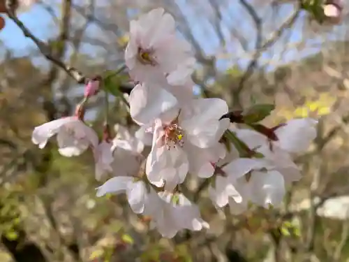 普門寺(切り絵御朱印発祥の寺)(愛知県)
