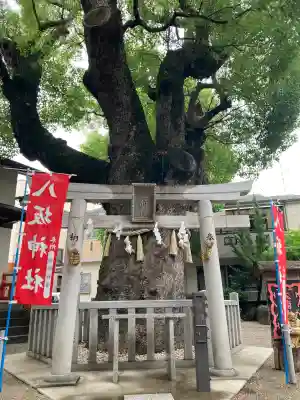 八坂神社(大阪府)