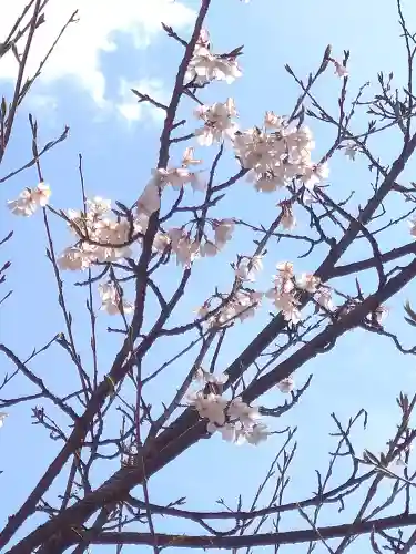 阿智神社の自然
