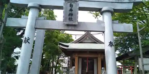 額田白井神社の鳥居