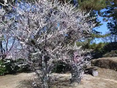 本居宣長ノ宮(三重県)
