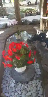 琴似神社(北海道)