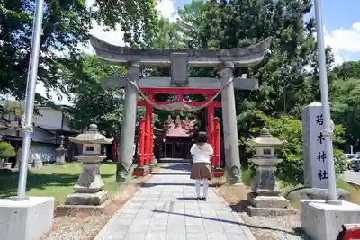 若木神社の鳥居