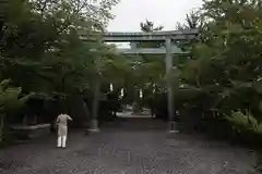 焼津神社の鳥居