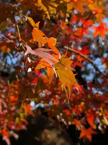 福蔵院(東京都)