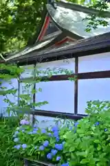 川越氷川神社(埼玉県)