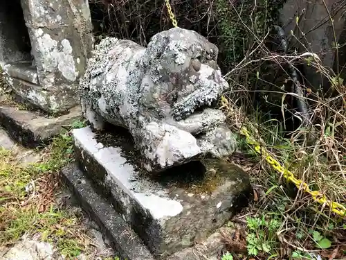 尺間神社の狛犬