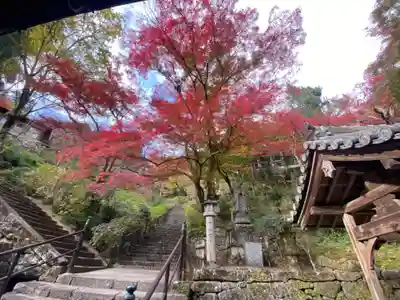 長谷寺(奈良県)