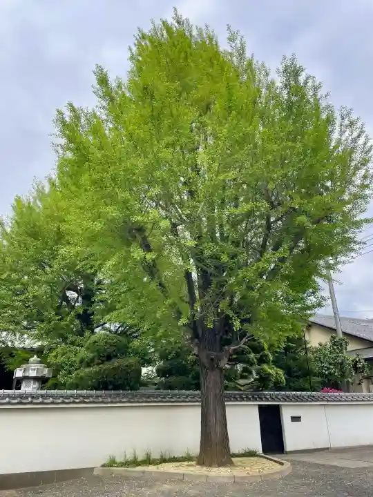 圓蔵寺の{uncategorized: "未分類", other: "その他", undefined: "問題あり", building: "その他建物", grave: "お墓", sacred_gate: "鳥居", guardian: "狛犬", statue: "像", buddha: "仏像", history: "歴史", nature: "自然", garden: "庭園", animal: "動物", pagoda: "塔", temizu: "手水舎", mountain_gate: "山門・神門", sanctuary: "本殿・本堂", subordinate: "末社・摂社", art: "芸術", scenery: "景色", jizo: "地蔵", ema: "絵馬", goshuin: "御朱印", omikuji: "おみくじ", items: "授与品その他", amulet: "お守り", goshuincho: "御朱印帳", eats: "食事", festival: "お祭り", votive_dance: "神楽", shichigosan: "七五三参", wedding: "結婚式", experience: "体験その他", initially: "初詣", around: "周辺", anti_infection: "感染症対策"}