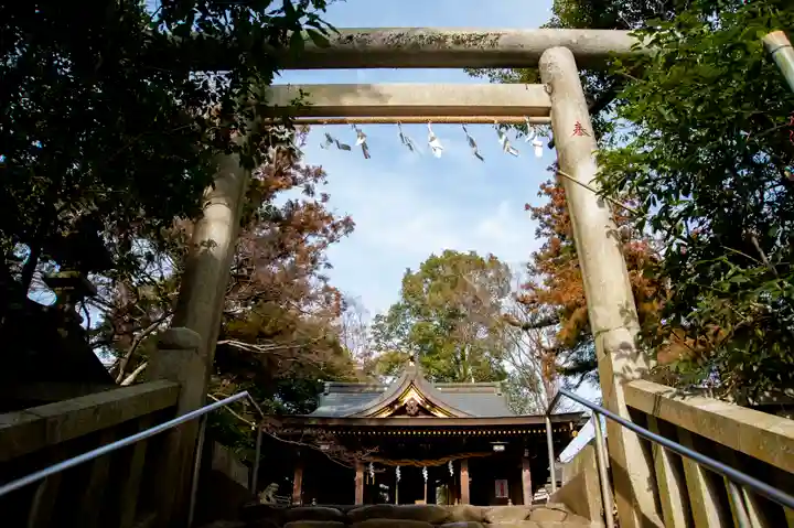 阿蘇神社の鳥居