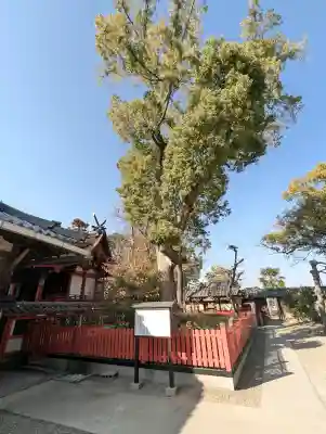 片埜神社の{uncategorized: "未分類", other: "その他", undefined: "問題あり", building: "その他建物", grave: "お墓", sacred_gate: "鳥居", guardian: "狛犬", statue: "像", buddha: "仏像", history: "歴史", nature: "自然", garden: "庭園", animal: "動物", pagoda: "塔", temizu: "手水舎", mountain_gate: "山門・神門", sanctuary: "本殿・本堂", subordinate: "末社・摂社", art: "芸術", scenery: "景色", jizo: "地蔵", ema: "絵馬", goshuin: "御朱印", omikuji: "おみくじ", items: "授与品その他", amulet: "お守り", goshuincho: "御朱印帳", eats: "食事", festival: "お祭り", votive_dance: "神楽", shichigosan: "七五三参", wedding: "結婚式", experience: "体験その他", initially: "初詣", around: "周辺", anti_infection: "感染症対策"}
