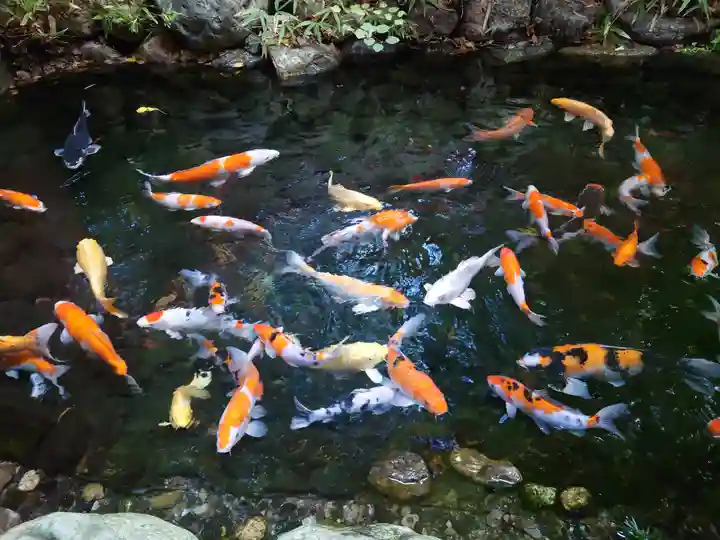 秩父神社(埼玉県)