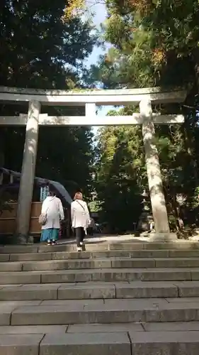 彌彦神社の鳥居