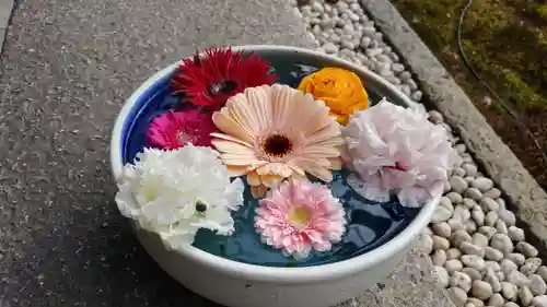 勝林寺の手水舎