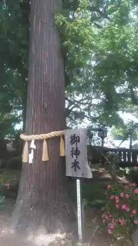 福良天満宮の自然