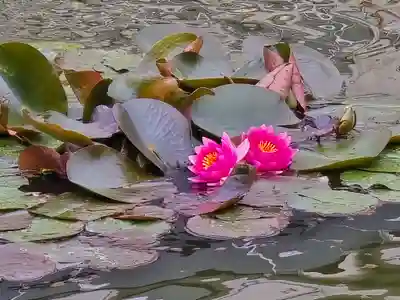 宇賀神社(大阪府)
