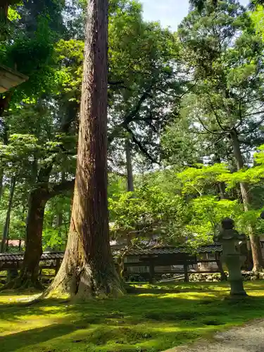 那谷寺の庭園