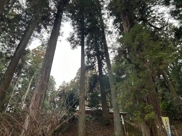 大宮温泉神社(栃木県)