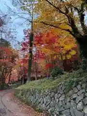 日枝神社(岐阜県)