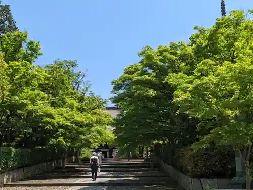 真正極楽寺（真如堂）(京都府)