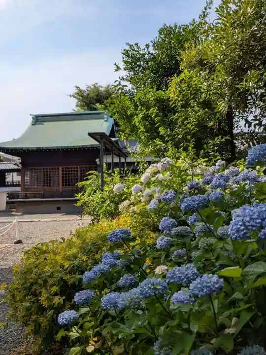 本郷氷川神社(東京都)