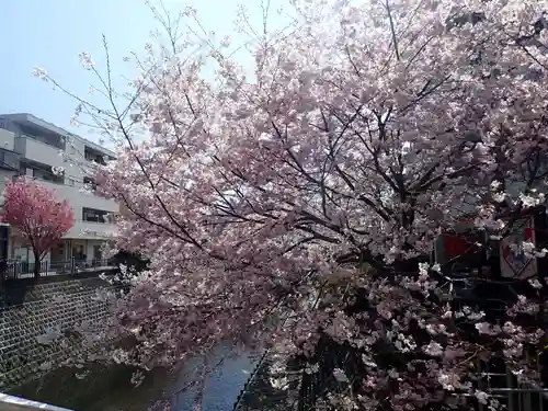 弘明寺の御朱印