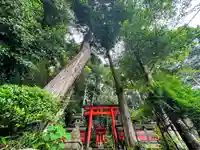 白山神社(奈良県)