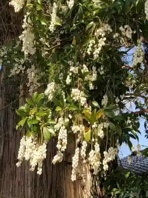 菅原神社(鹿児島県)