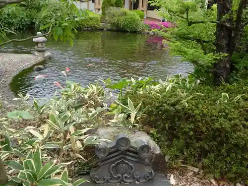 龍澤山祥雲寺の庭園