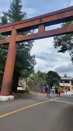 宮城縣護國神社の鳥居