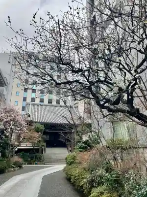 花岳院(東京都)