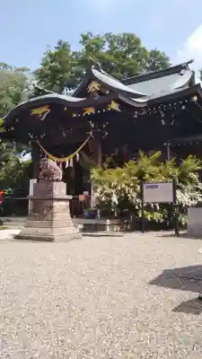 行田八幡神社の本殿・本堂