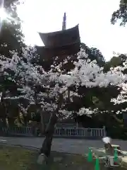 善宝寺の建物その他