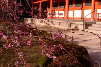 平安神宮(京都府)