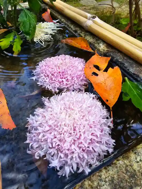 宝蔵寺(京都府)