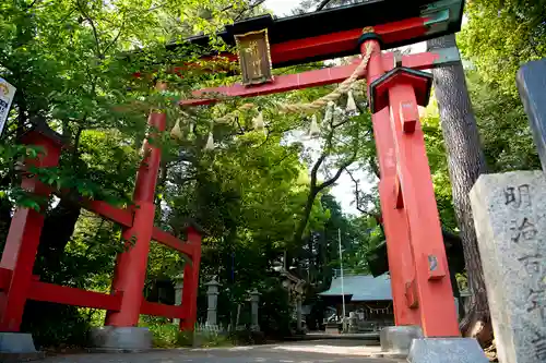 西堀 氷川神社の鳥居