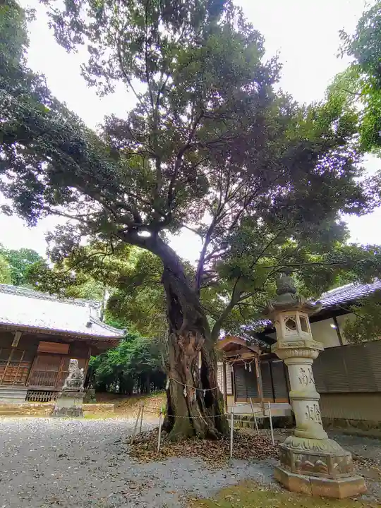 白鳥神社(白鳥町)の自然