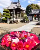 真言宗 善通寺派 薬王寺(香川県)