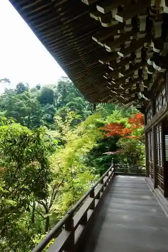 大聖院の本殿・本堂