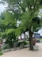 蓮光寺(大阪府)