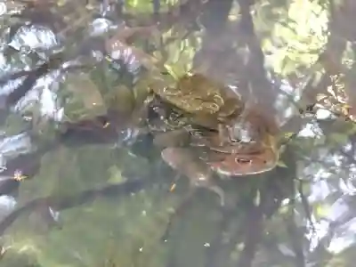 角原神社(福井県)