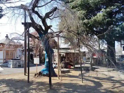 普済寺(群馬県)